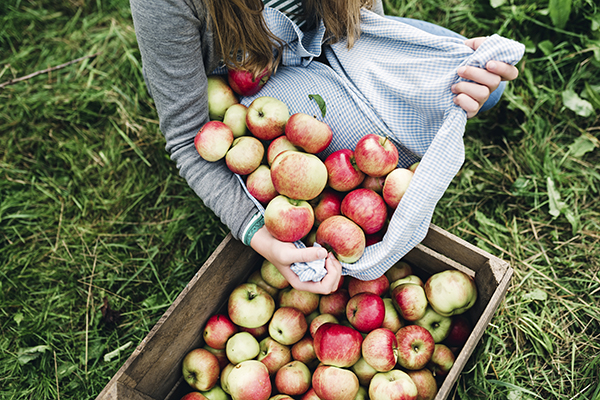 17 Essential Fall Groceries for Your Shopping List