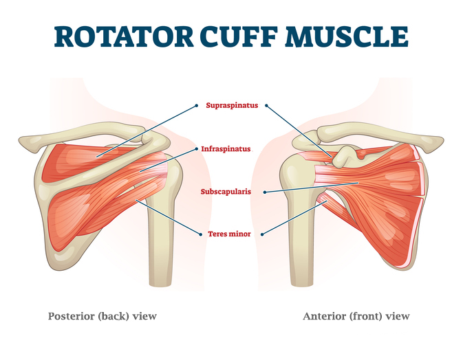 5 Exercises to Strengthen and Enhance Rotator Cuff Mobility