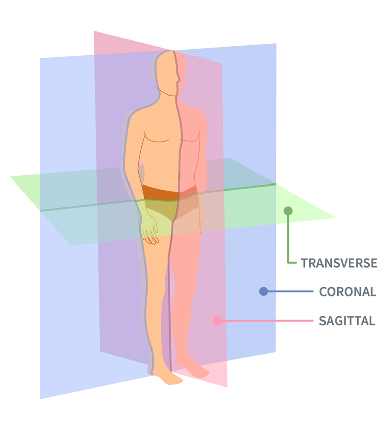 Understanding the Three Planes of Motion and Their Importance