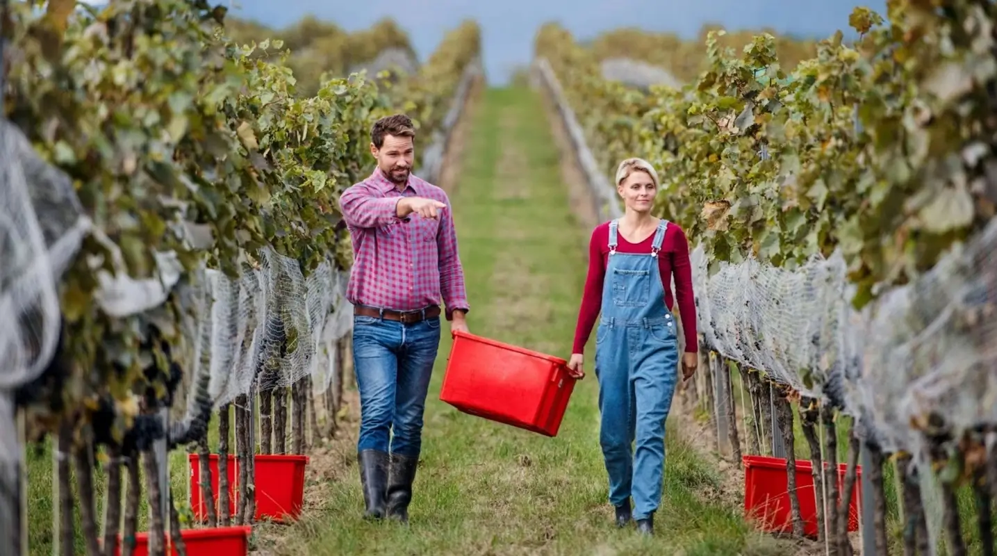 Why Good Posture in Yoga Doesn’t Always Help You Lift at Work Everyday movements